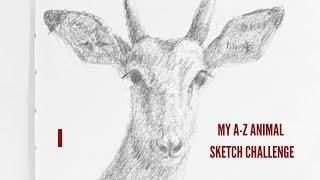 Weekly sketch challenge A-Z African animals. Week 9, letter I