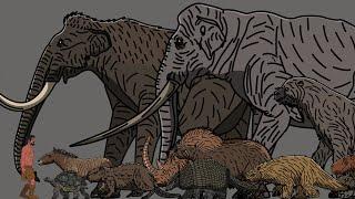 Extinct North America, South America and Europe Herbivorous Size Comparison(Animated).