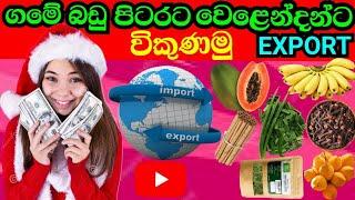 How  to  Export village fruits all Countries