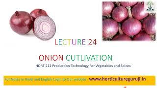 #HORT211 | Lecture 24 Onion Cultivation | प्याज की खेती