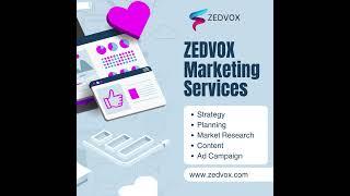 Need expert marketing solutions? Zedvox has you covered!