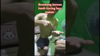 JEJAKA GANTENG Borneo Pecinta Kucing Shorts