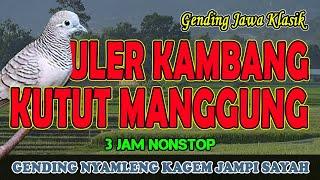 Classical Javanese Music Uler Kambang Kutut Full 3 Hours - Uyon uyon Music for Tiredness Medicine