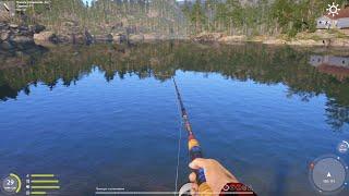 Russian Fishing 4: проводка с остановками чё!?