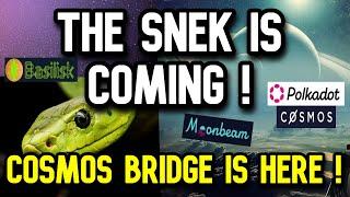 Polkadot News | Cosmos To Polkadot Bridge ! Basilisk The Snek Is Here & More !