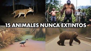 15 Animales Que Se Cree Extintos Siguen Vivos Hoy