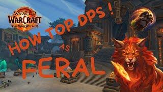 How top dps in your mythic+ as Feral druid | TWW | 11.0.5