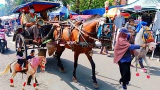 Kuda | Kuda Delman Islamic Priuk - Naik Delman - Naik Kuda - Lagu Delman - Lagu Kuda | Kuda Dokar