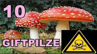 Die 10 GIFTIGSTEN PILZE  Toxic Mushrooms ️