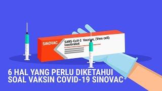 6 Hal yang Perlu Diketahui Soal Vaksin Covid-19 Sinovac