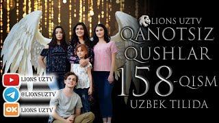 QANOTSIZ QUSHLAR 158 QISM TURK SERIALI UZBEK TILIDA | КАНОТСИЗ КУШЛАР 158 КИСМ УЗБЕК ТИЛИДА