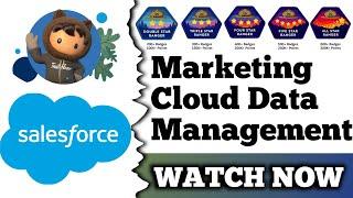 Marketing Cloud Data Management | Salesforce Trailhead | Quiz Solution