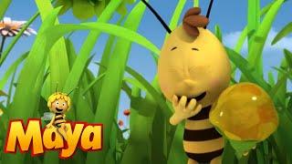 Mother Courage - Maya the Bee - Episode 25