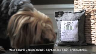 Moso Natural Air Purifying Bag Introduction