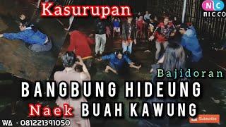 BANGBUNG HIDEUNG NAEK BUAH KAWUNG BAJIDORAN