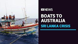 Why hundreds of Sri Lankans boarded boats to Australia | ABC News