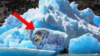 9 Доисторических Животных, Найденных Во Льдах