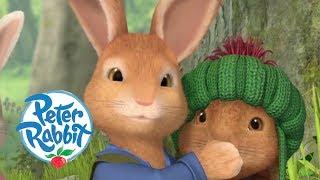 Peter Rabbit - Benjamin the Genius | Cartoons for Kids