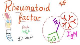 Rheumatoid Factor (RF) - Rheumatoid Arthritis (RA) - Joint disease- Rheumatology series