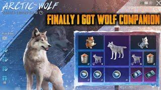 New Arctic Wolf Companion Lucky Spin Crate Opening | Arctic Wolf Lucky Spin Pubg Mobile