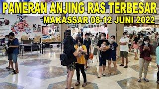 PAMERAN ANJING RAS TERBESAR DI MAKASSAR - PET PARADISE - PHINISI POINT MALL 08 - 12 JUNI 2022