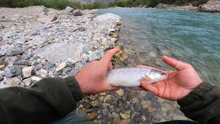 Ловля форели в бурных реках Кавказа #trout_fishing #кбр #fishing #форель