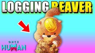 Once Human How to Get Logging Beaver Pet Location With Map