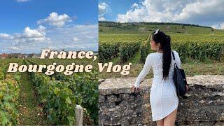 FRANCE VLOG | Road Trip Through Bourgogne (BURGUNDY) + Wine Tour!!