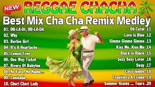 Top Reggae Dance 2024  Relaxing Disco Cha Cha Vibes 2024  Reggae Music Mix