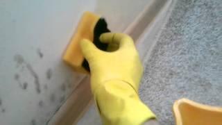 Простой способ убрать грибок со стен(2)
