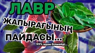 ЛАВР Жапырағының СІЗ БІЛМЕЙТІҢ ҚҰПИЯСЫ...  Лавр Жапырағы Зиян ба?