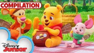 Playdate with Winnie the Pooh Shorts  | Compilation | @disneyjunior