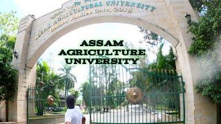Assam Agricultural University//Jorhat//
