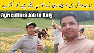 Agricultura Job in Italy | seasonal visa job in Italy | Agriculture job salary | Pakistani in Italy