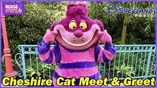 Cheshire Cat Meet & Greet for Halloween Festival at Disneyland Paris 2024 - Alice in Wonderland