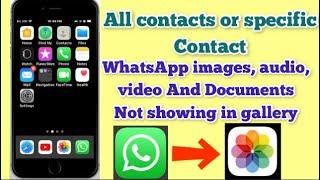 WhatsApp images not showing in gallery in iPhone | All or specific contact