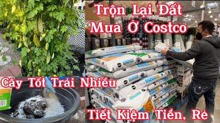 Trộn Lại Loại Đất Mua Ở Costco, Rẻ, Tiết Kiệm Tiền Mà Trồng Cây Tốt, Trái Nhiều