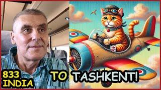 Delhi - Tashkent. Roxy Cat Traveler. Flight India Uzbekistan Uzbekistan Airways