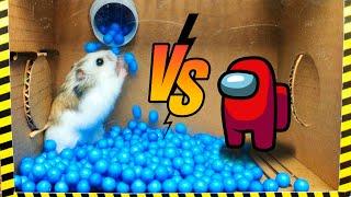 Cute Hamster pets Among Us but with Traps in maze