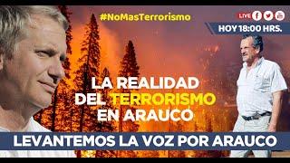  LA REALIDAD DEL TERRORISMO EN ARAUCO