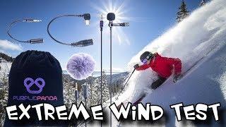 AWESOME BUDGET Lavalier Mic Review! [Purple Panda Microphone] + Wind test