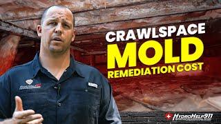 Crawlspace Mold Remediation Cost | How Much Does Mold Remediation Cost?