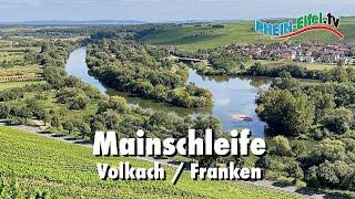 Mainschleife | Weininsel | Rhein-Eifel.TV