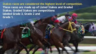 A Look at the Many Different Types of Horseraces - Richard Schibell Racing
