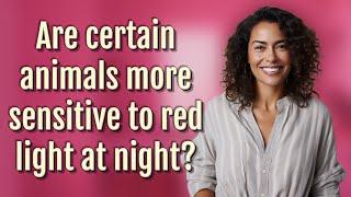 Are certain animals more sensitive to red light at night?