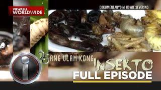 "Ang Ulam Kong Insekto", a documentary by Howie Severino (Full episode) | I-Witness