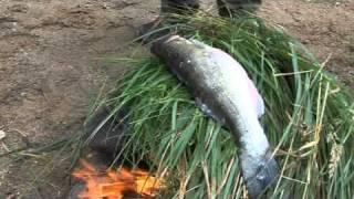 Finnish fish delicacies on an open fire