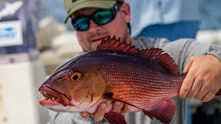 Costa + GEOBASS: Season 2 | Red Bass in Christmas Island