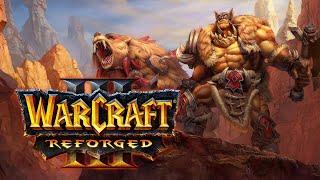 Warcraft III: Reforged Walkthrough - Bonus Campaign: The Founding of Durotar