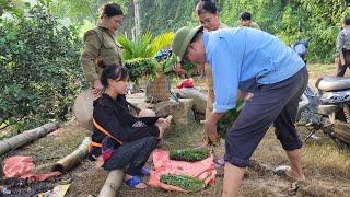 single mother's life after typhoon YAGi passed mother went to harvest wild fern to sell